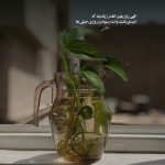 دانلود آهنگ منم میشم یکی مثل تو همون جوری